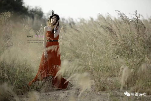 關(guān)于秋天唱歌惆悵的詩句