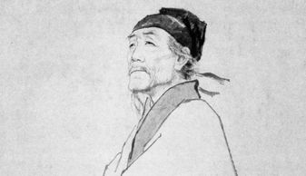 關(guān)于諷喻的詩句