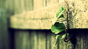 好學(xué),詩(shī)句,告誡,寫出