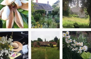 關(guān)于住在森林的詩(shī)句