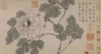 古詩《秋風(fēng)》的詩句