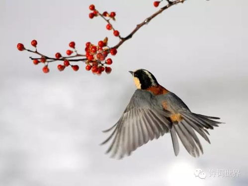 有關(guān)于運(yùn)的詩(shī)句