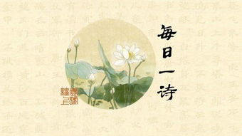 關(guān)于鳥的詩句春去花還在