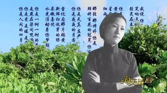 詩句,陪伴,選擇