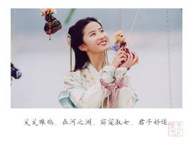 詩經(jīng)中很美很冷門的古詩句