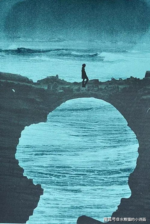 關(guān)于起飛的詩(shī)句