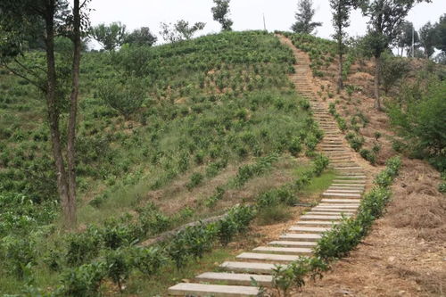 關于描寫小村的詩句