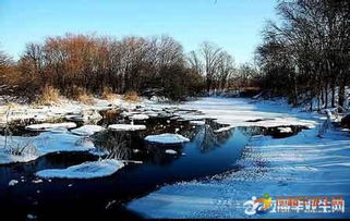 
高適:《別董大》
千里黃云白日曛,北風吹雁雪紛紛.
莫愁前路無知己,天下誰人不識君?
李白《北風行》
燭龍棲寒門,光耀猶旦開.
日月照之何不及此,唯有北風號怒天上來.
燕山雪花大如席,片片吹落軒轅臺.
幽州思婦十二月,停歌罷笑雙蛾摧.
倚門望行人,念君長城苦寒良可哀.
別時提劍救邊去,遺此虎文金鞞靫.
中有一又白羽箭,蜘蛛結(jié)網(wǎng)生塵埃.
箭空在,人今戰(zhàn)死不復回.
不忍見此物,焚之已成灰.
黃河捧土尚可塞,北風雨雪恨難裁.
![詩句,美景,冬季