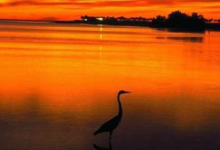 關于書中的風景詩句