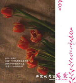 關(guān)于佛的詩句名言空碷佛門