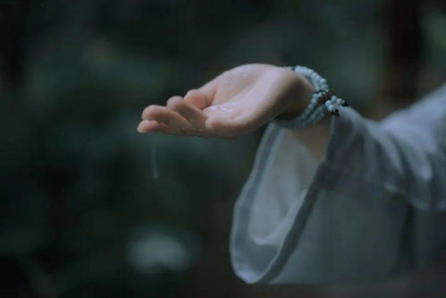 關于命運苦的詩句