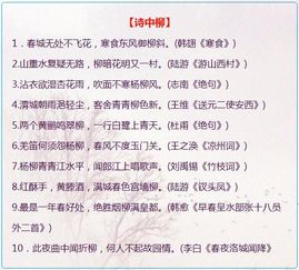 關于古詩的作文400字,用古詩寫一篇作文400字,古詩改寫作文400字