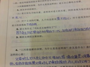 關(guān)于親情的作文標(biāo)題新穎有詩句