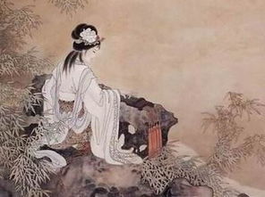 詩經(jīng),詩句