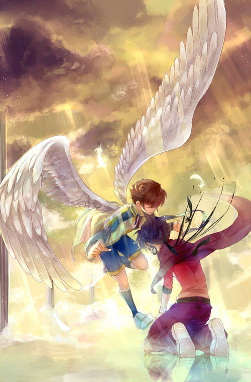 有沒有關(guān)于翅膀的詩句