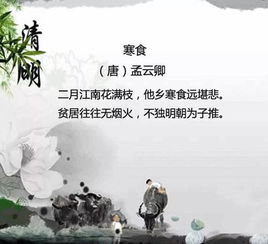 清明節(jié)古詩句子