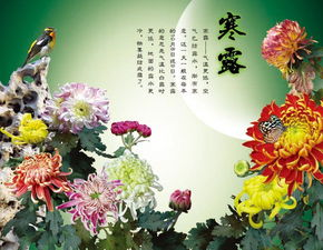 有關(guān)于南方寒露到來的詩句