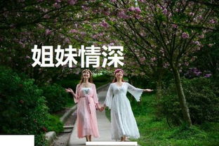 描寫姊妹情的古詩(shī)句