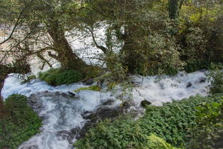 關(guān)于火山熱海的詩句