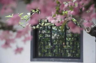 江南,詩(shī)句,春天