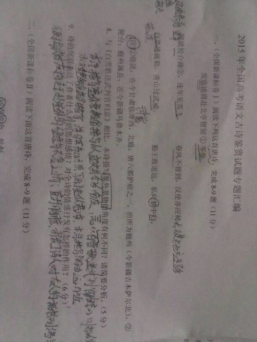 古詩(shī)鑒賞題及答案詩(shī)句作用