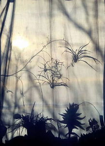 以實寫虛的古詩句