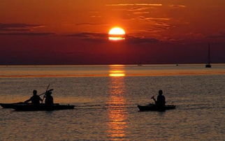 悲觀世人無知的古詩句