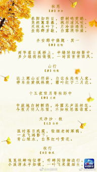 關(guān)于二十四節(jié)秋風(fēng)的詩句