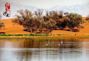 描述大漠人文景觀的古詩句