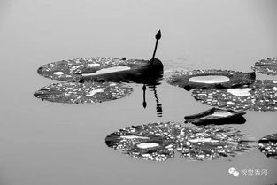 關于石布的詩句