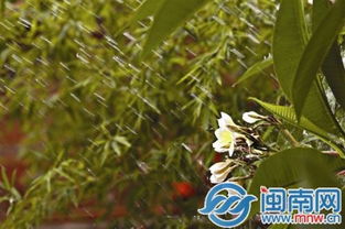 寫夏天雨詩句古詩大全