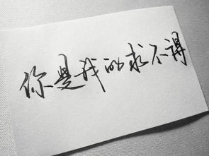 關于不念過往的詩句