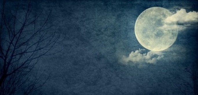 關(guān)于你的月亮的詩句