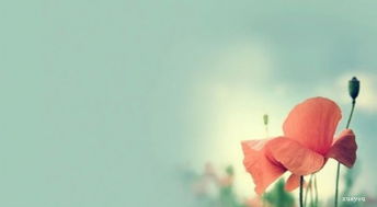 形容天空的古詩(shī)句