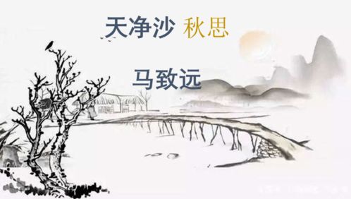 默寫(xiě),詩(shī)句,考古,理解