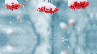 帶卷地古詩(shī)句