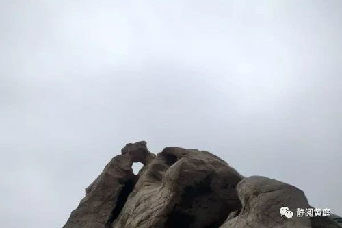 描寫詠雪的古詩句岑參