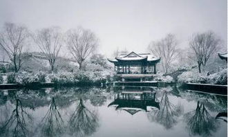 關(guān)于游子夢的詩句