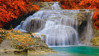 關(guān)于秋天清晨陽光的詩句,關(guān)于冬天清晨陽光的詩句,贊美清晨陽光的詩句