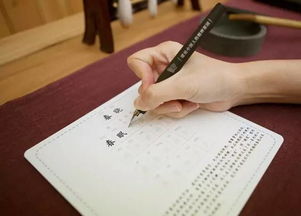 關(guān)于趁早讀書(shū)的詩(shī)句