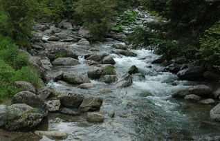 關(guān)于春日小溪的詩句