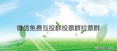 關(guān)于拉票的詩句