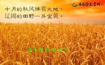 關于描寫大地的古詩句