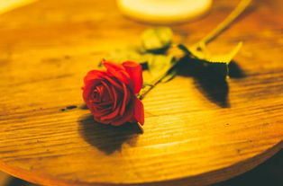 關(guān)于演講的詩句