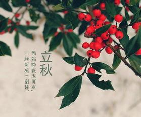 關(guān)于立秋的民俗和詩句