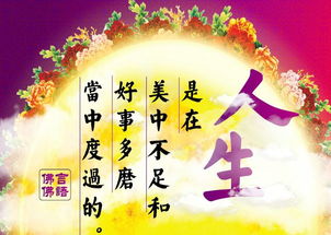 關(guān)于佛語的詩句