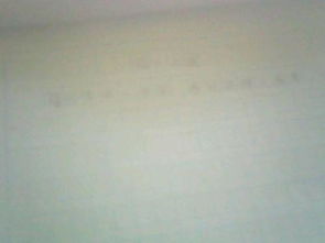 以詩句開頭的除夕之夜作文