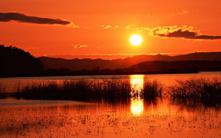 晚霞夕陽海邊作文開頭