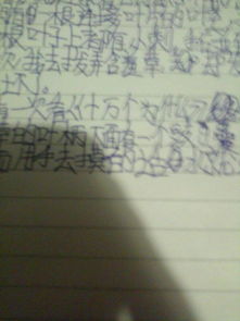 觀察植物作文400字開(kāi)頭寫聽(tīng)說(shuō)