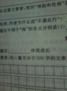 初三友情親情作文開頭結(jié)尾